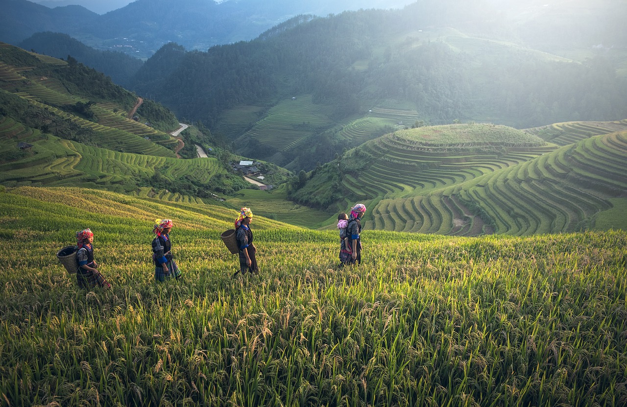 There Is Work in Japan for Experienced Expat Farmers